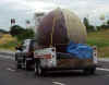 Spider ROAD TRIP.JPG (316280 bytes)